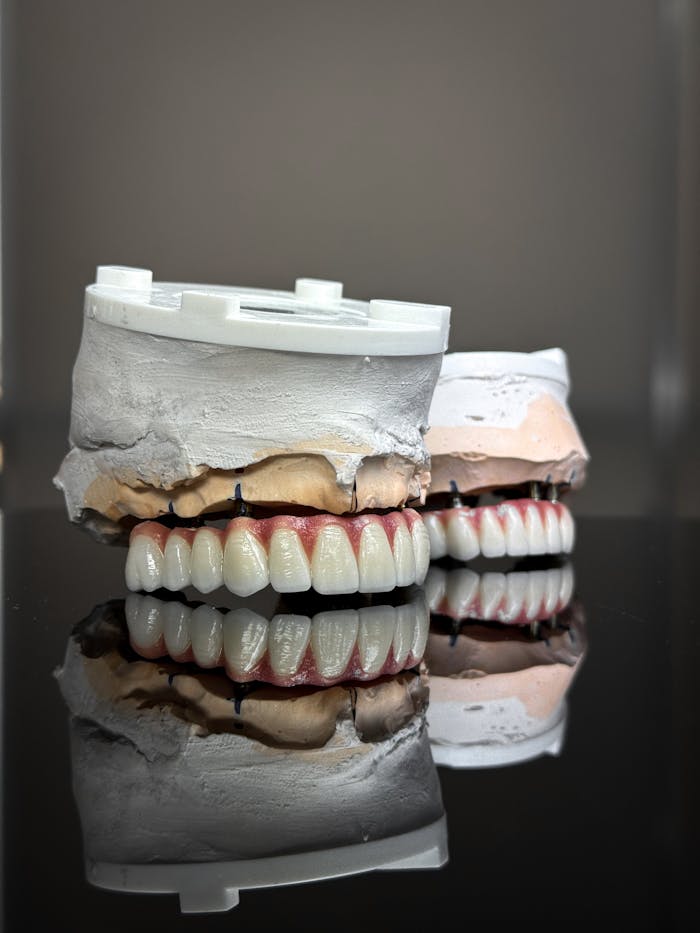 Realistic dental models showcasing artificial teeth with perfect reflections.